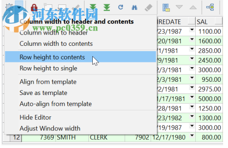 PL/SQL Developer中文版 13.0.4.1906 免費版