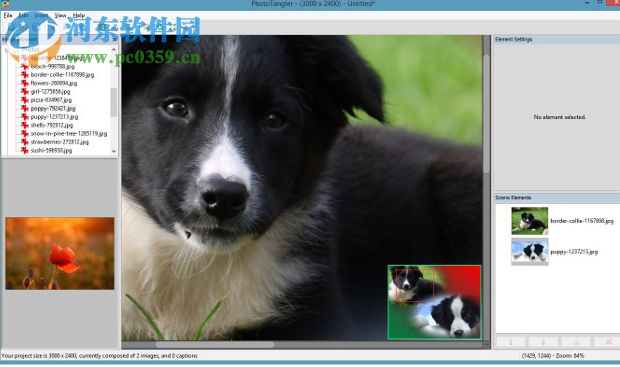 PhotoTangler Collage Maker(圖片處理軟件) 2.2.0 免費(fèi)版