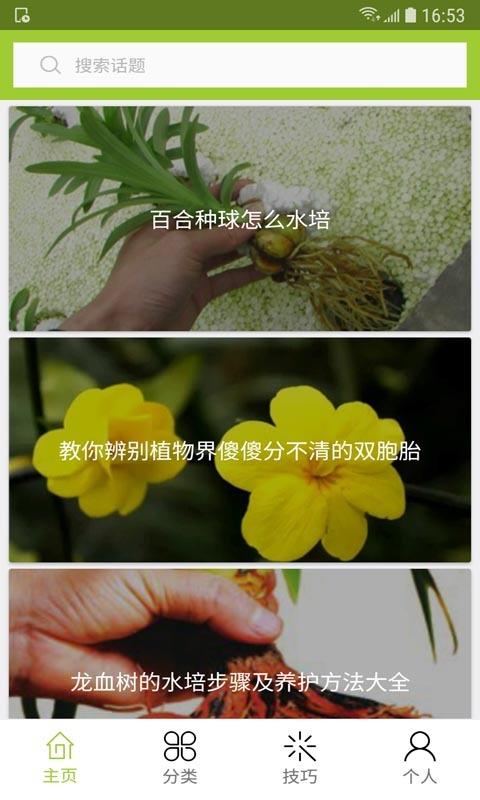 花草種植(4)