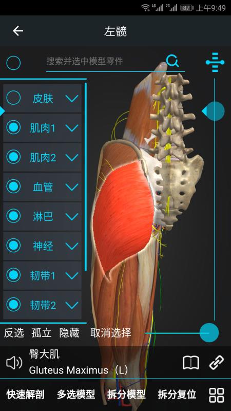 醫(yī)維度(1)