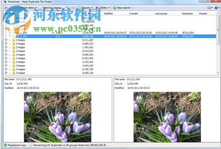Detwinner(重復(fù)文件查找工具) 2.04.001 免費(fèi)版