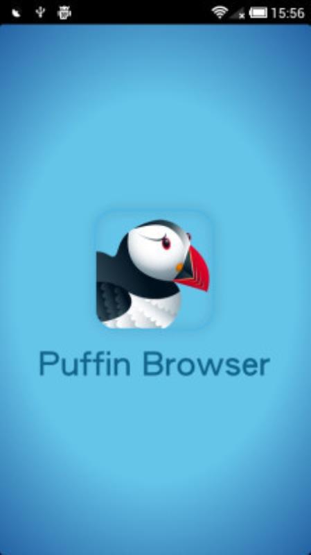 Puffin(3)