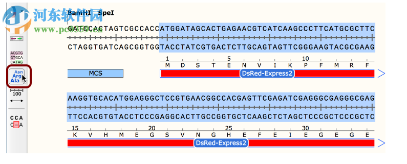 GSL Biotech SnapGene(分子生物學(xué)軟件)