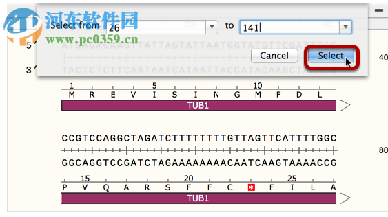 GSL Biotech SnapGene(分子生物學(xué)軟件)