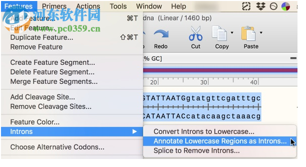 GSL Biotech SnapGene(分子生物學(xué)軟件)