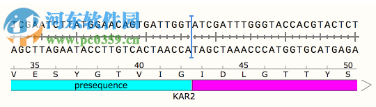 GSL Biotech SnapGene(分子生物學(xué)軟件)