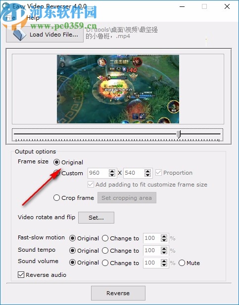 Easy Video Reverser下載