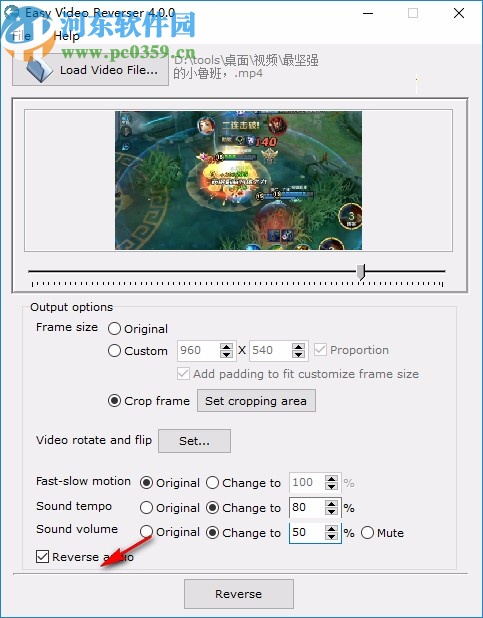 Easy Video Reverser下載